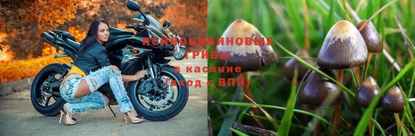 jwh Горняк